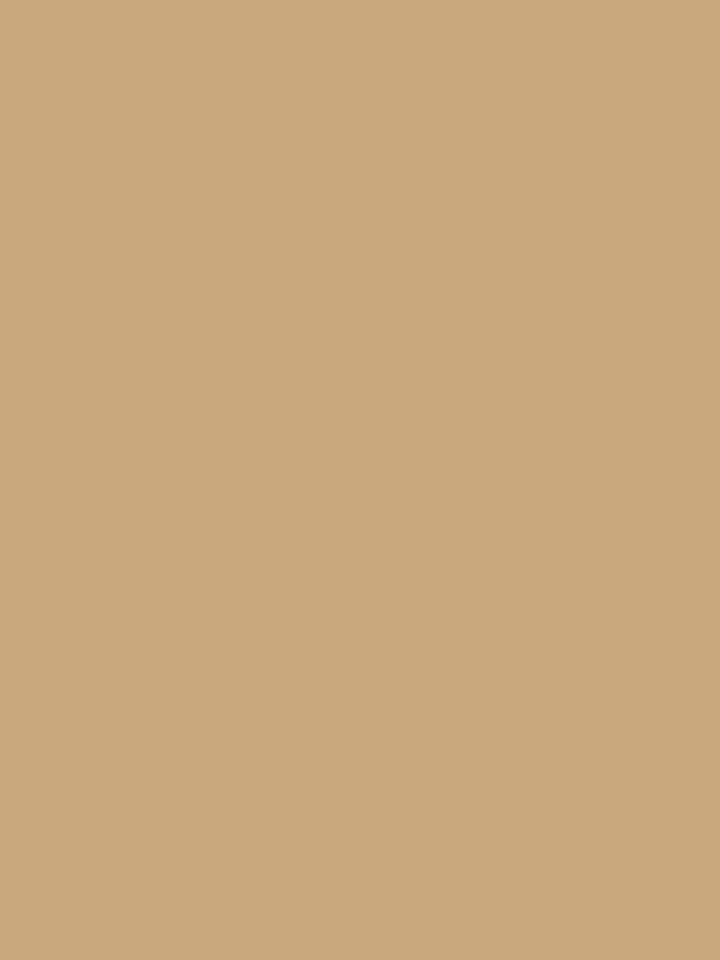 concealer cream 205
