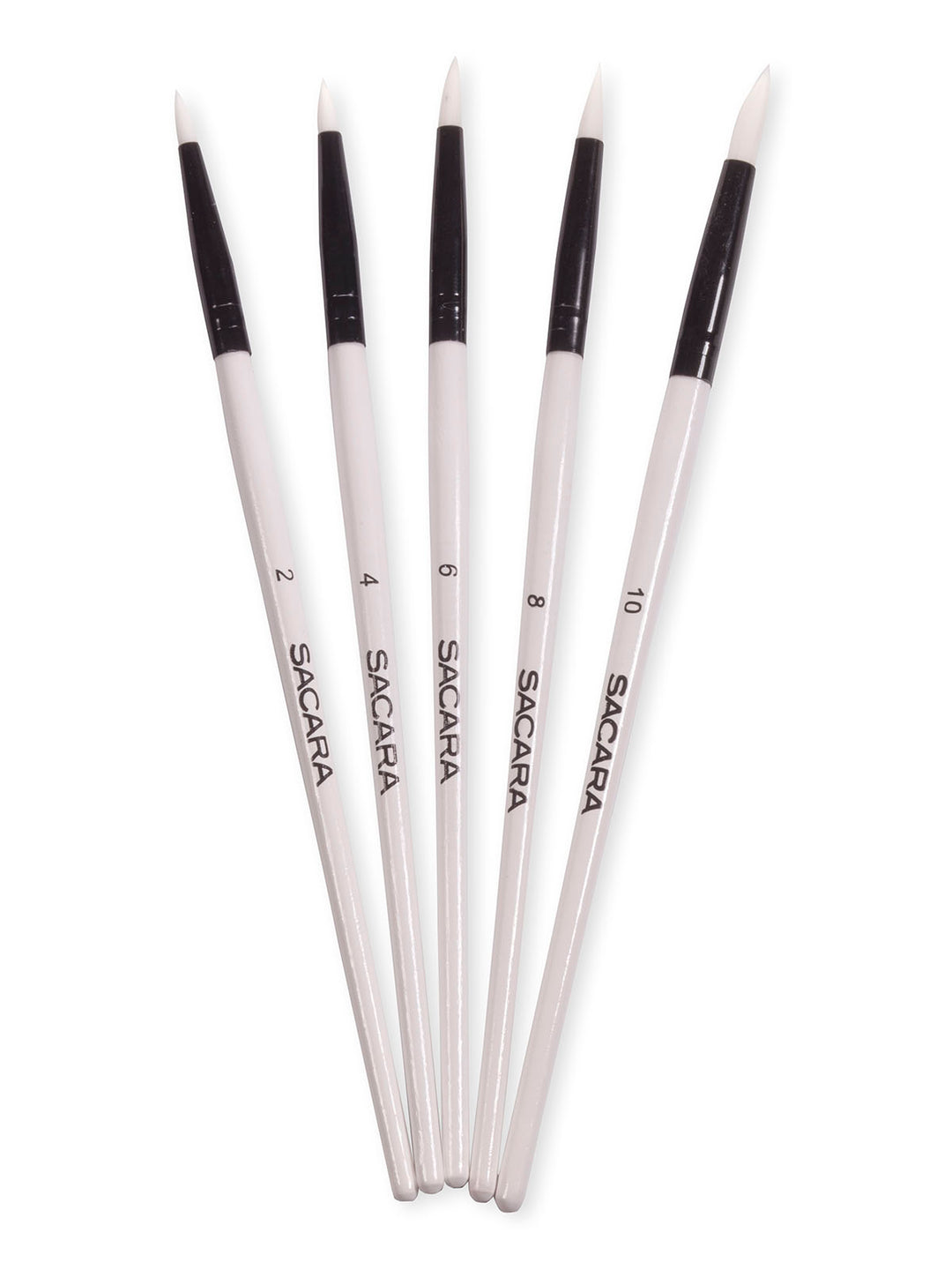 Professional Brush Set Nai